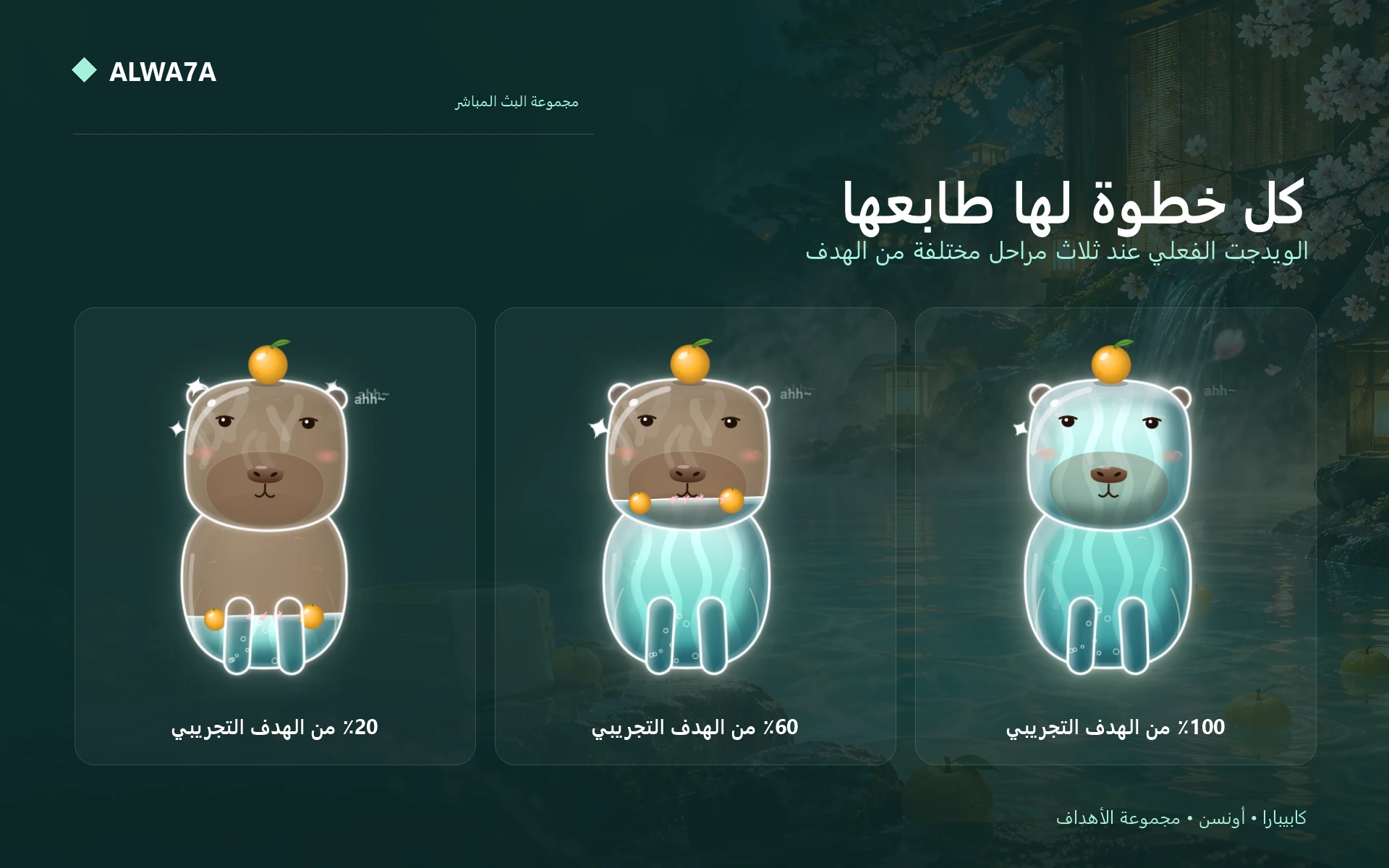 Capybara Onsen — Actual design details