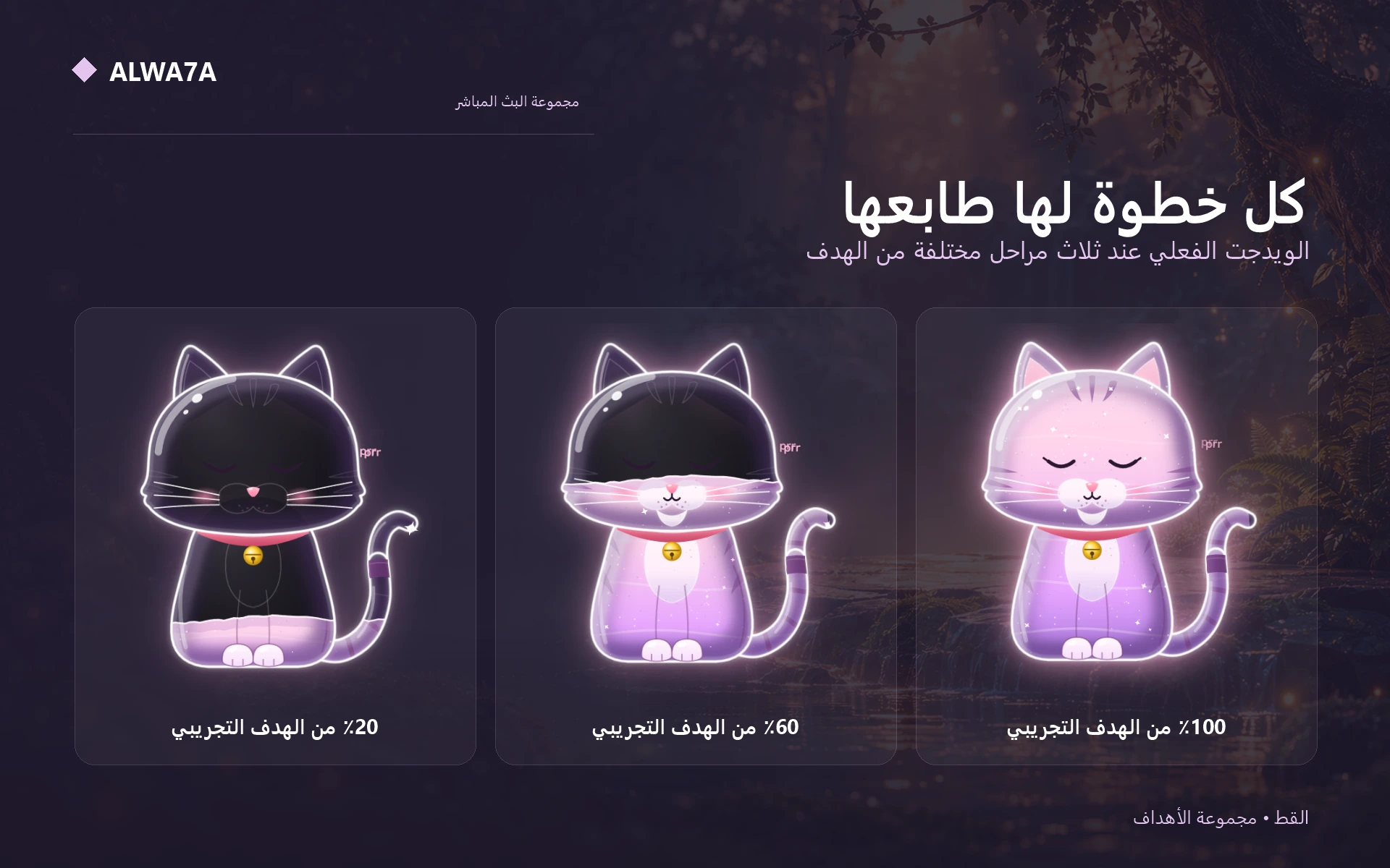 Cat — Actual design details