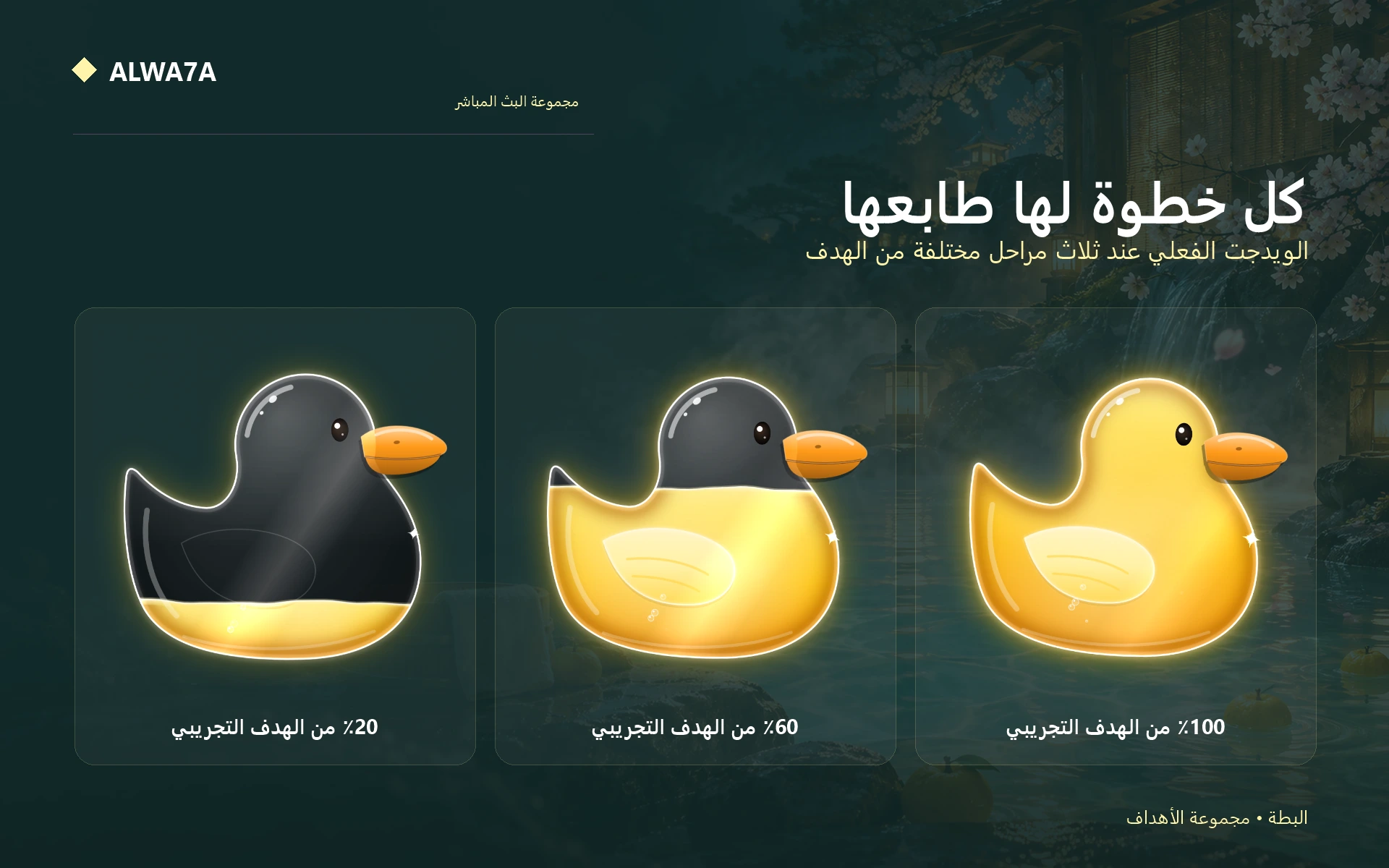 Duck — Actual design details