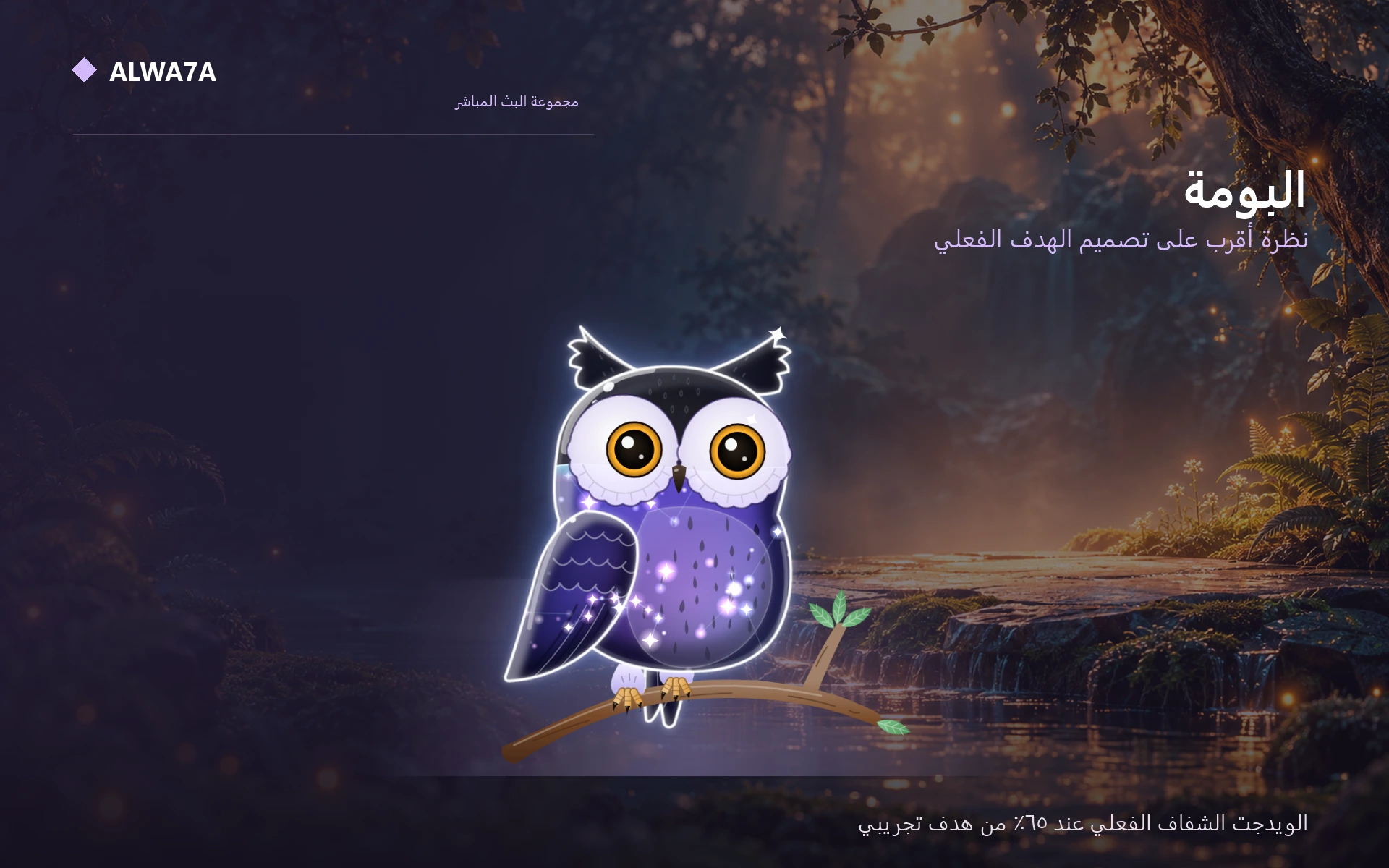 Owl — Actual product close-up