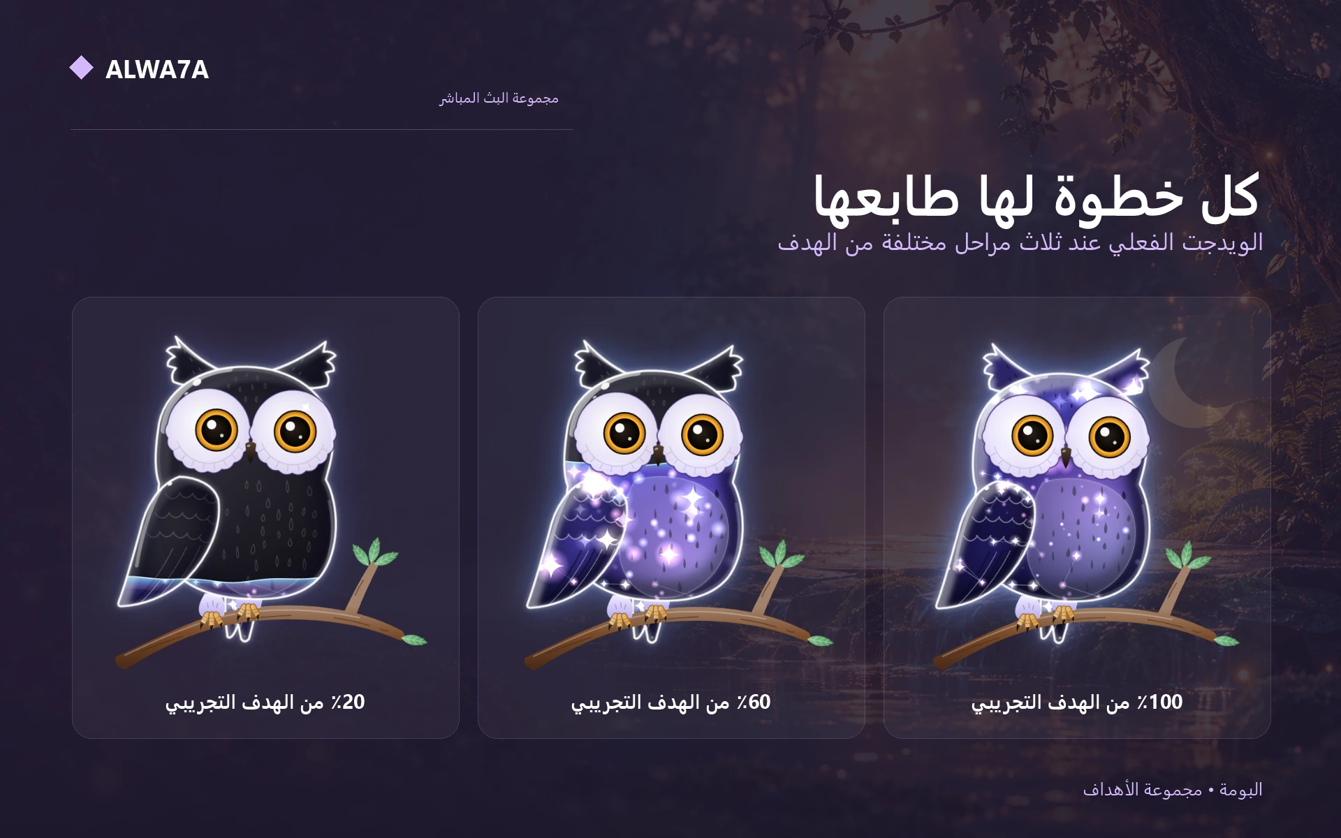 Owl — Actual design details