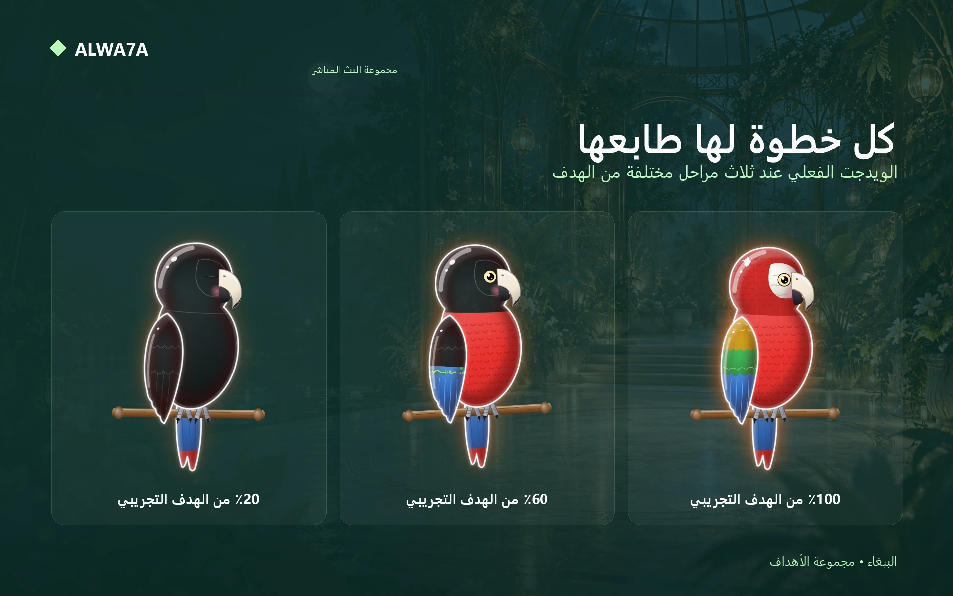 Parrot — Actual design details
