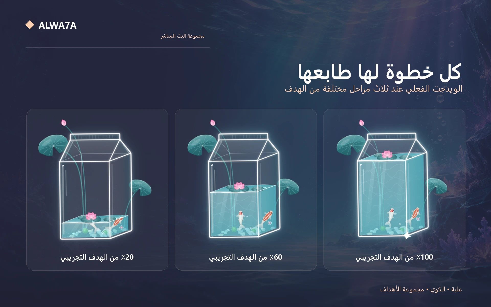 Koi Milk Carton — Actual design details