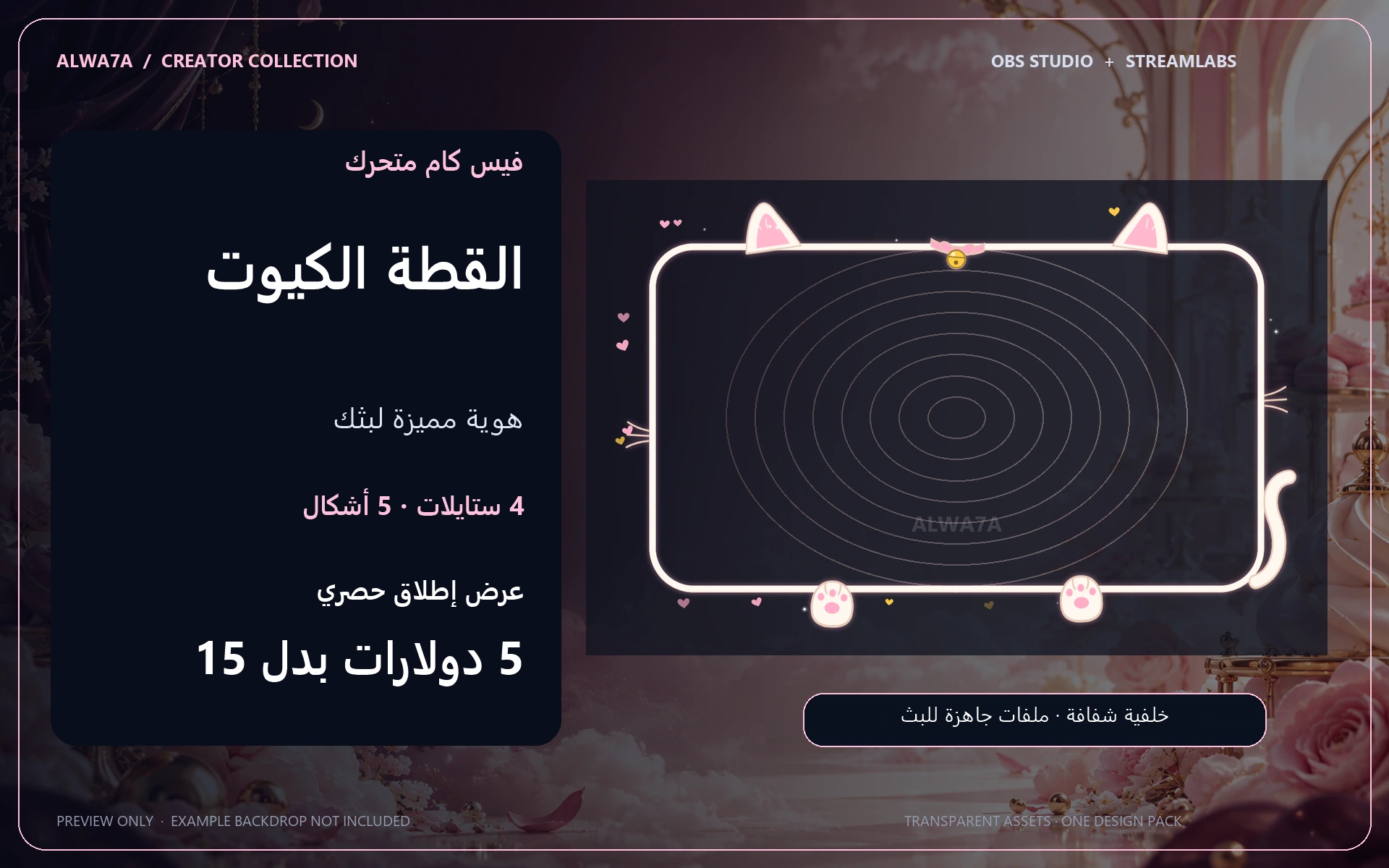 فيس كام القطة الكيوت — إطار متحرك